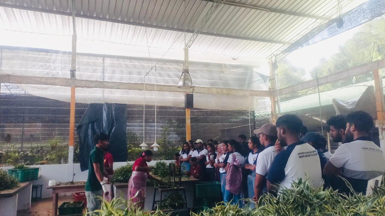 Ramya Horticulture